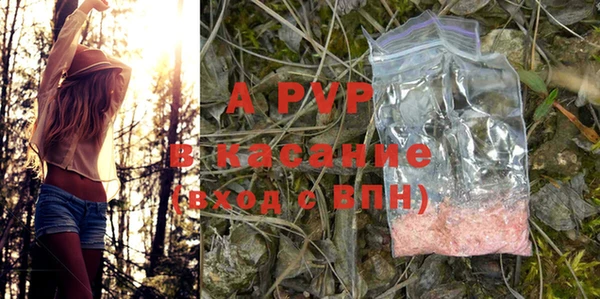 ГАЛЛЮЦИНОГЕННЫЕ ГРИБЫ Козельск