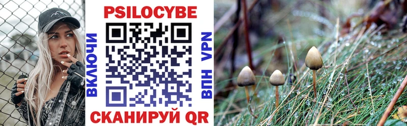 Купить  Архангельск  Галлюциногенные грибы Psilocybe 